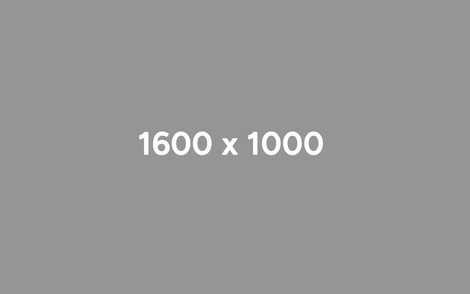 1600x1000