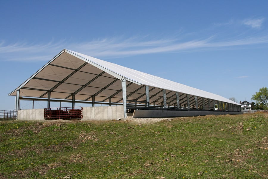 Brown-Cattle-Exterior