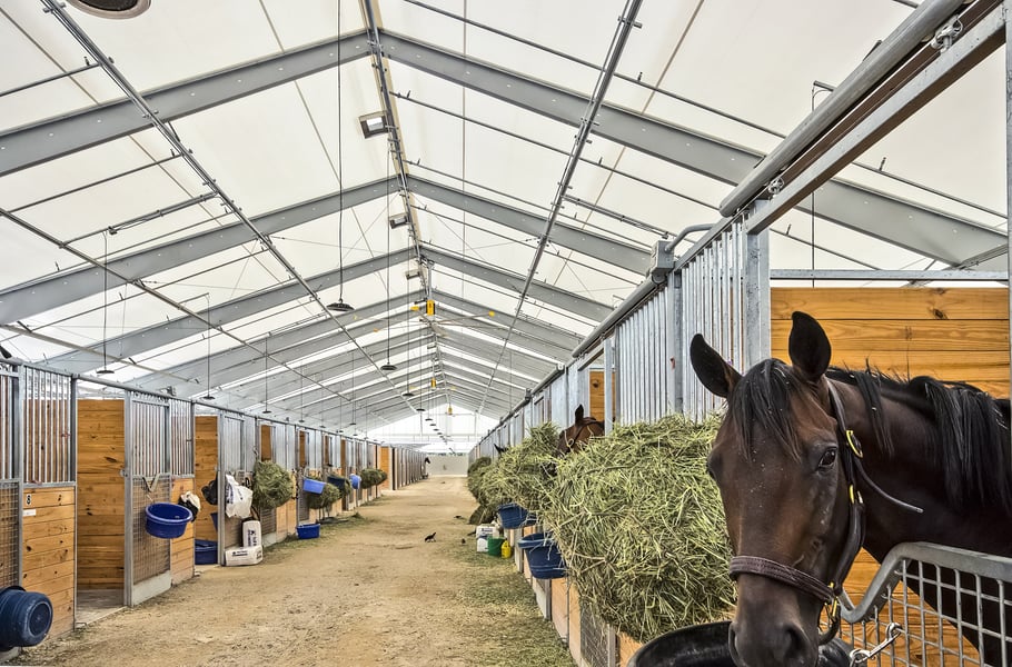 inside a tension fabric racehorse barn