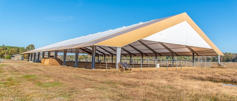 The 20-Year View: How Material Choices Impact Long-Term Operational Costs