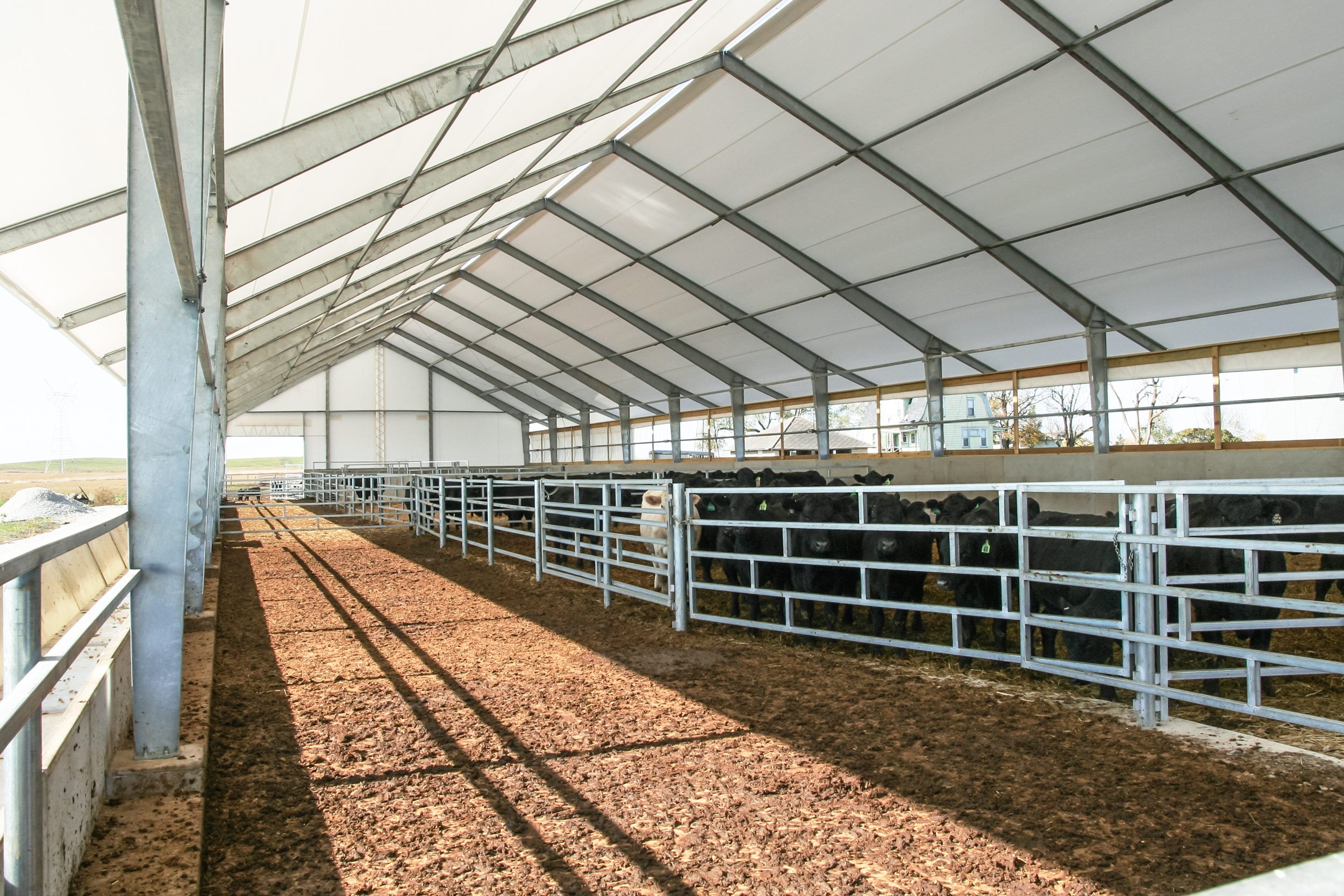 fabric structure for livestock