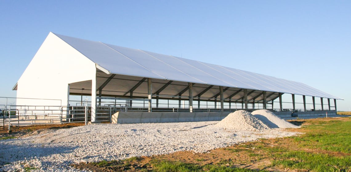 Cattle and Finishing Building